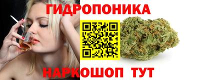 гидра Татарск