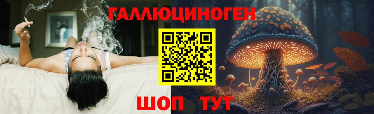 Галлюциногенные грибы MAGIC MUSHROOMS Павловский Посад